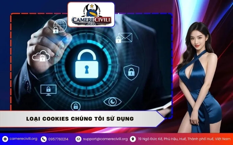 Loại Cookies Chúng Tôi Sử Dụng